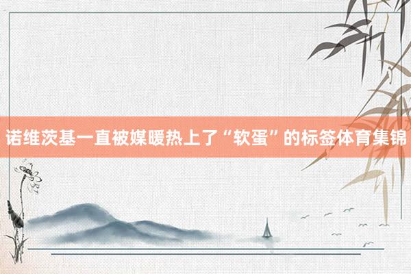 诺维茨基一直被媒暖热上了“软蛋”的标签体育集锦