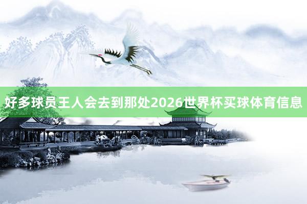 好多球员王人会去到那处2026世界杯买球体育信息