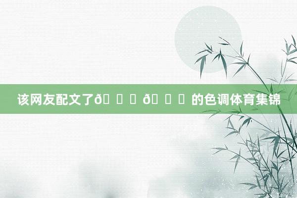 该网友配文了👑🐐的色调体育集锦