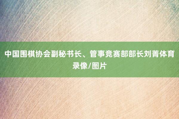 中国围棋协会副秘书长、管事竞赛部部长刘菁体育录像/图片
