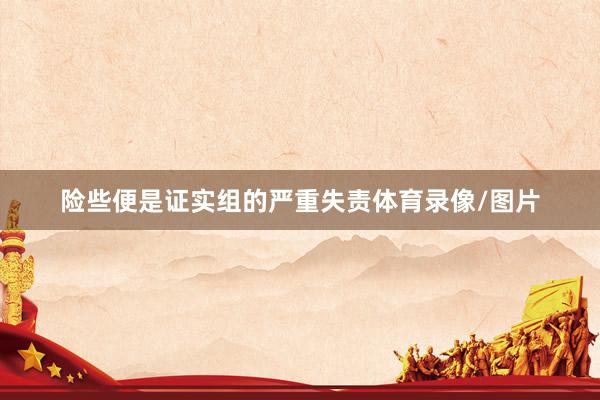 险些便是证实组的严重失责体育录像/图片