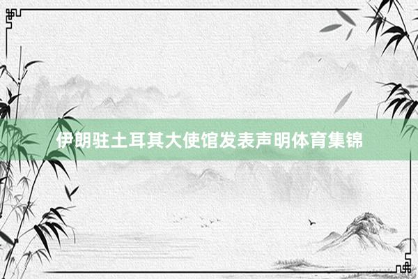 伊朗驻土耳其大使馆发表声明体育集锦